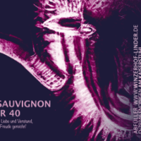 Cabernet Sauvignon Natür 2020, 4 Jahre im Barrique gereift
