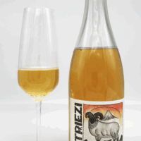 BIO Fruchtperlwein STRIEZI