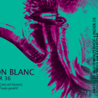 BIO - Sauvignon Blanc Natür 36