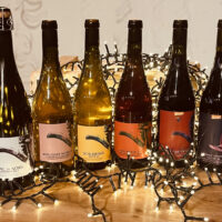 Arrangement von 6 Flaschen Wein und Sekt